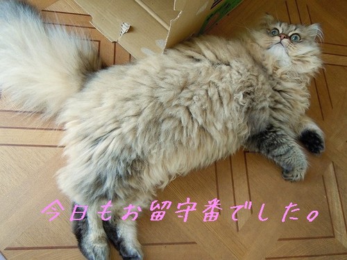 DSCN0979.jpg