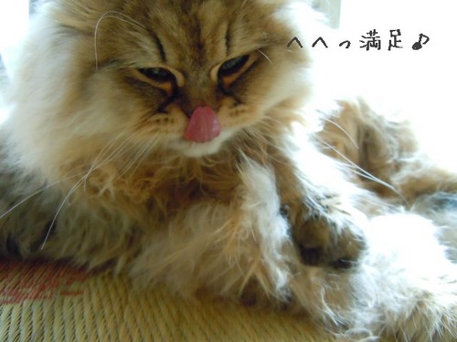 DSCN1894.jpg