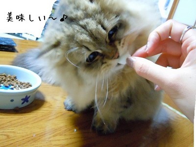 DSCN2089.jpg