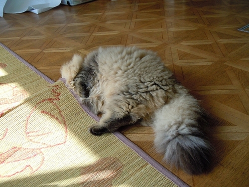 DSCN2282.jpg