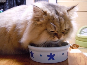 DSCN2311.jpg