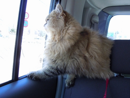 DSCN2527.jpg