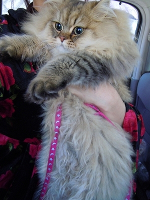 DSCN2530.jpg