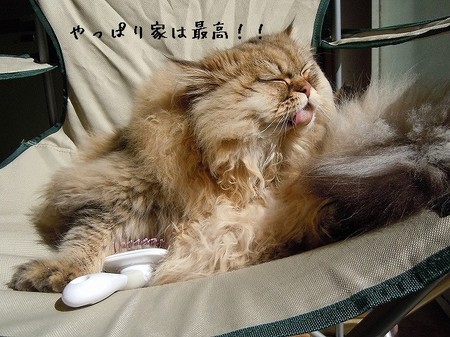 DSCN2553.jpg