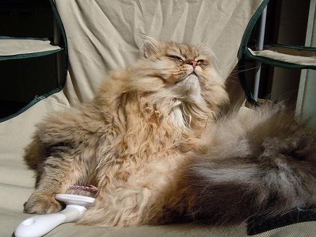 DSCN2556.jpg