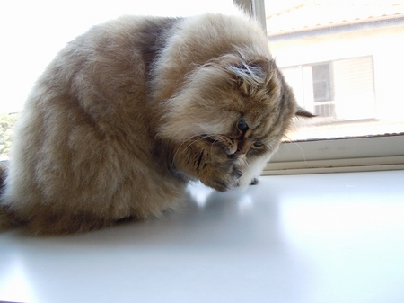 DSCN3062.jpg