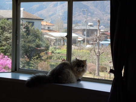 DSCN3063.jpg