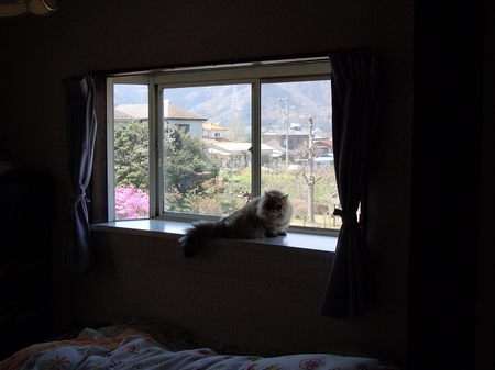 DSCN3065.jpg