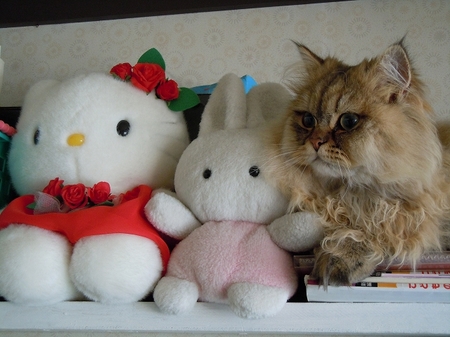 DSCN3097.jpg