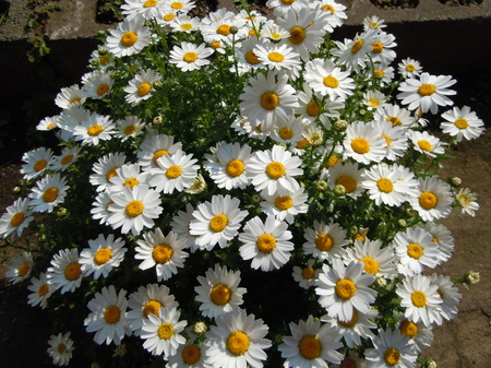 DSCN3111.jpg