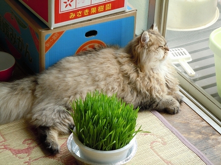 DSCN3140.jpg