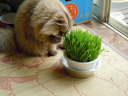 DSCN3143.jpg