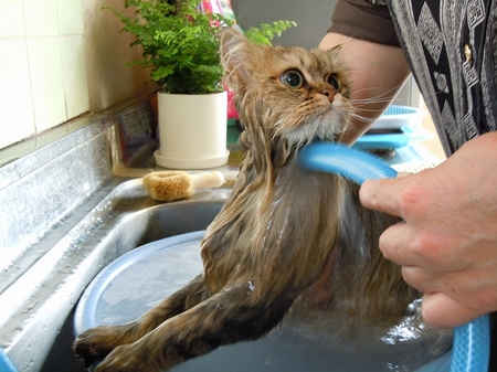 DSCN3171.jpg