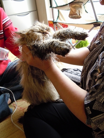 DSCN3177.jpg
