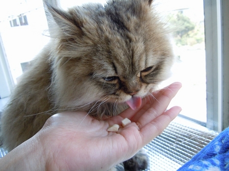 DSCN3190.jpg