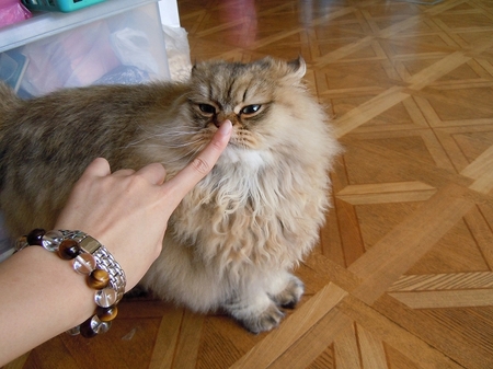 DSCN3291.jpg