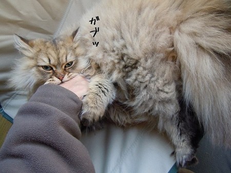 DSCN3392.jpg