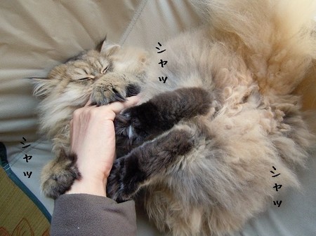 DSCN3398.jpg