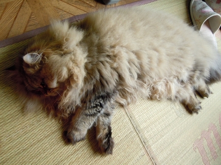 DSCN3530.jpg