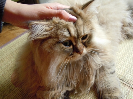 DSCN3531.jpg
