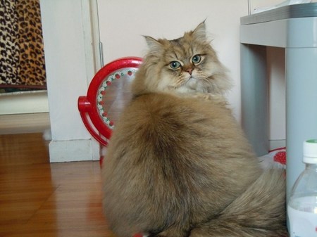 DSCN3538.jpg